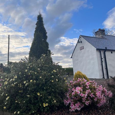 Dans Wee Cottage Slieve Croob Dromara Castlewellan Newcastle Exterior photo