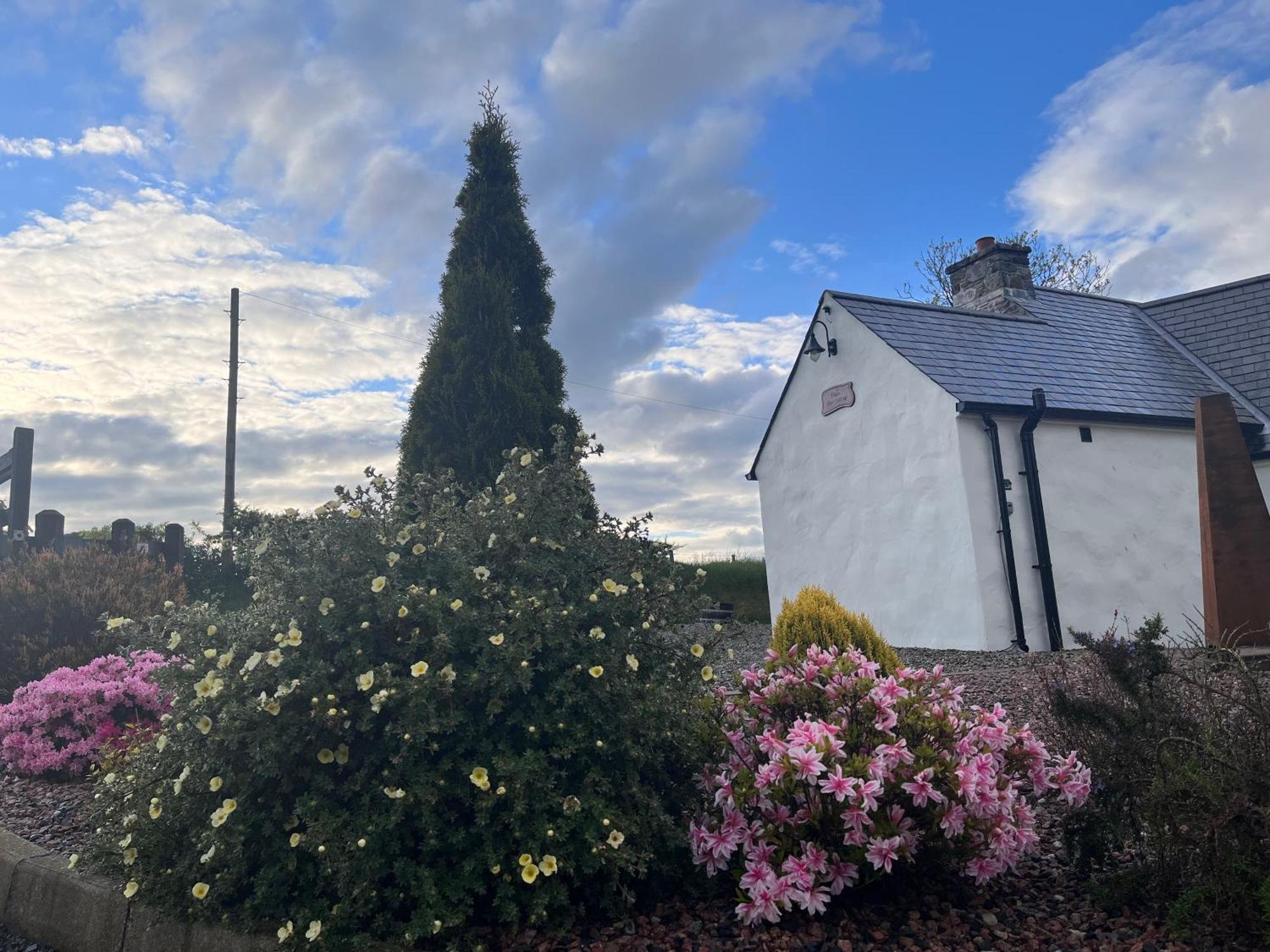 Dans Wee Cottage Slieve Croob Dromara Castlewellan Newcastle Exterior photo